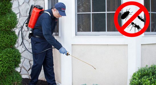 Süleymanpaşa Karınca İlaçlama böcek ilaçlama ve haşere kontrolü — ilaclama-tr.com